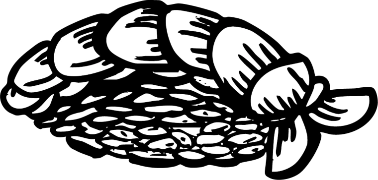 Line drawing of amaebi sushi